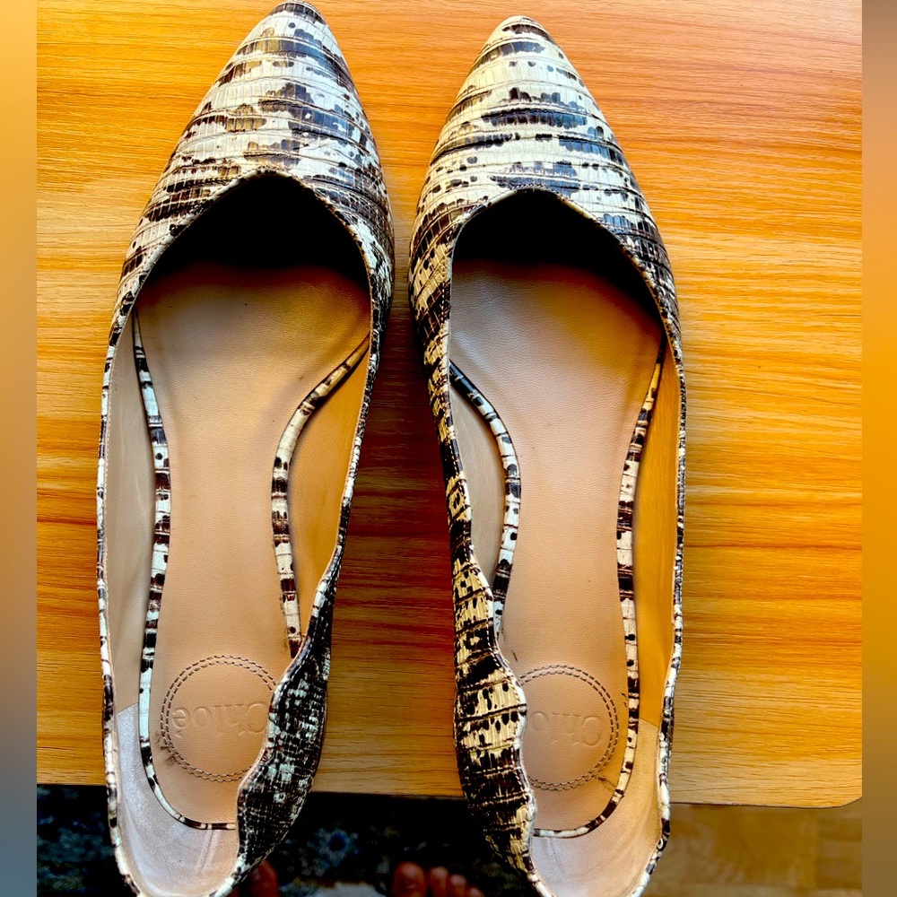 CHLOE. Snakeskin, scalloped edge and stylish.
